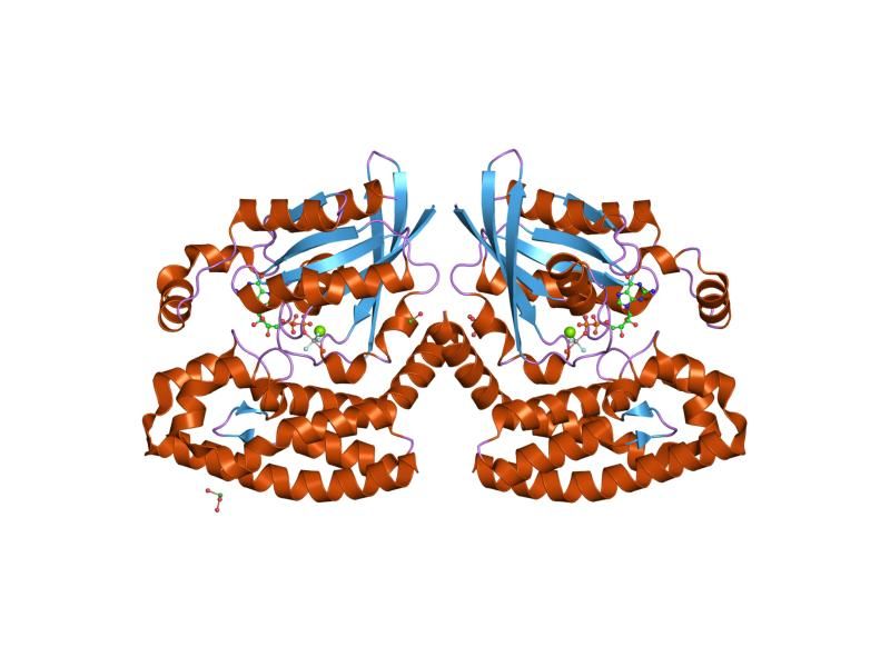 File:PDB 1he1 EBI.jpg