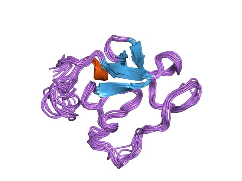 File:PDB 1hpj EBI.jpg