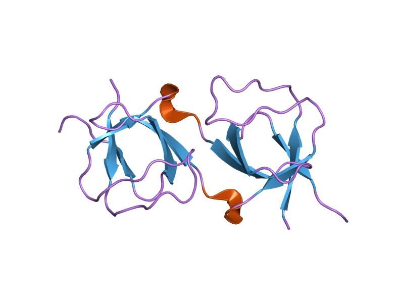 File:PDB 1i07 EBI.jpg