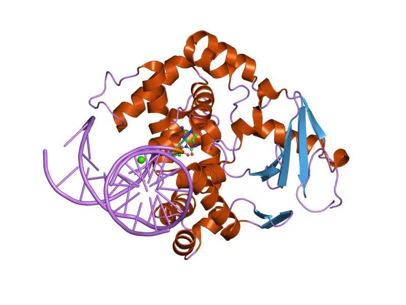 File:PDB 1n3c EBI.jpg