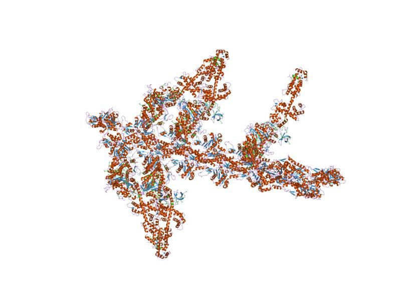 File:PDB 1o1c EBI.jpg