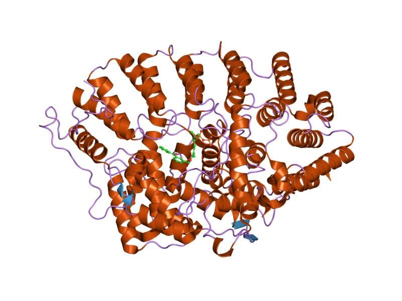 File:PDB 1o1s EBI.jpg