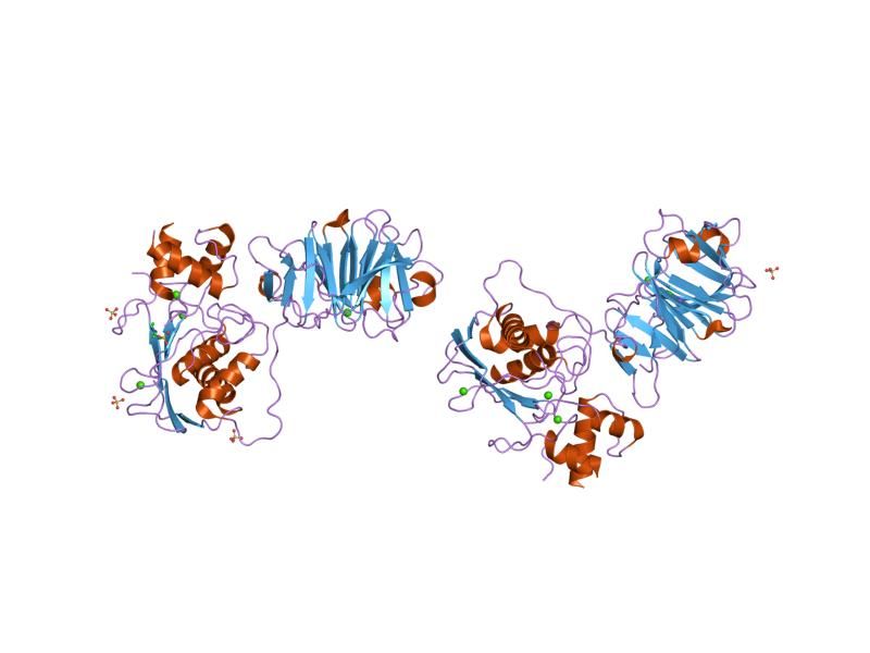 File:PDB 1su3 EBI.jpg