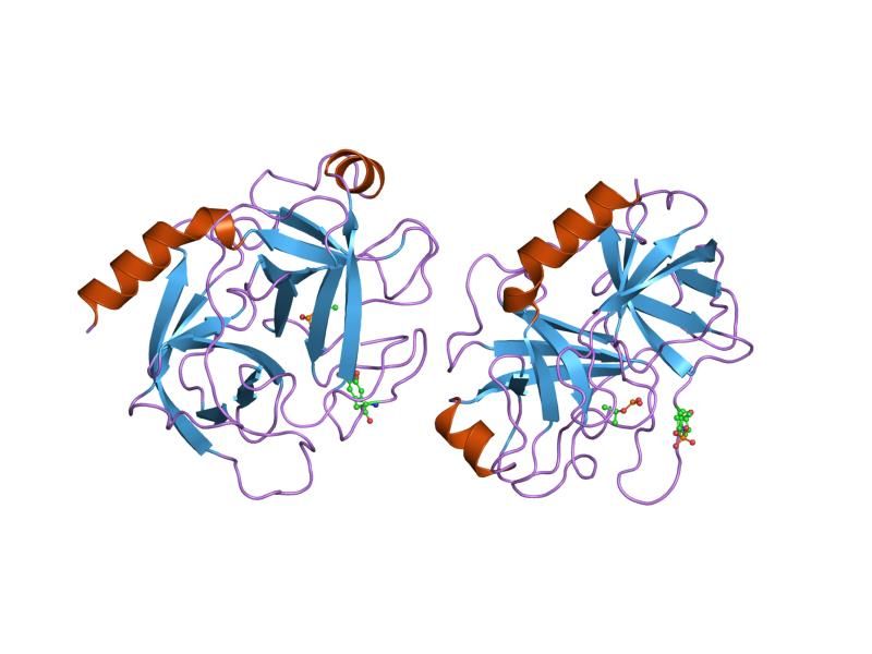 File:PDB 1trn EBI.jpg