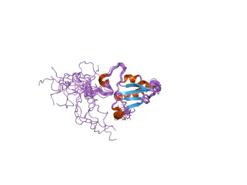 File:PDB 2a2p EBI.jpg