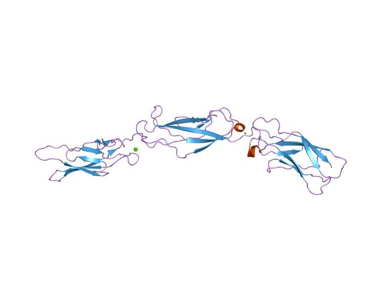 File:PDB 2a62 EBI.png