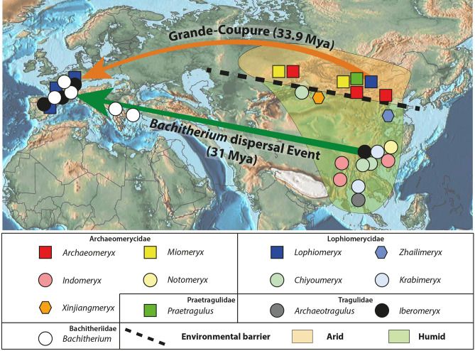 File:Paleobiogeography Eurasiastic ruminants Eocene.jpg