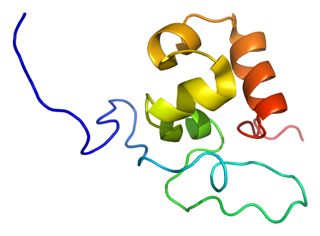 File:Protein ABLIM3 PDB 1ujs.png