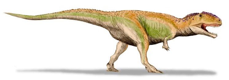 File:Giganotosaurus BW.jpg