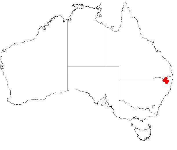 File:Hakea macrorrhyncha DistMap.jpg