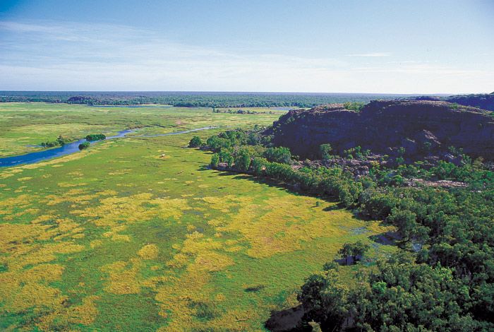 File:Kakadu 1752.jpg