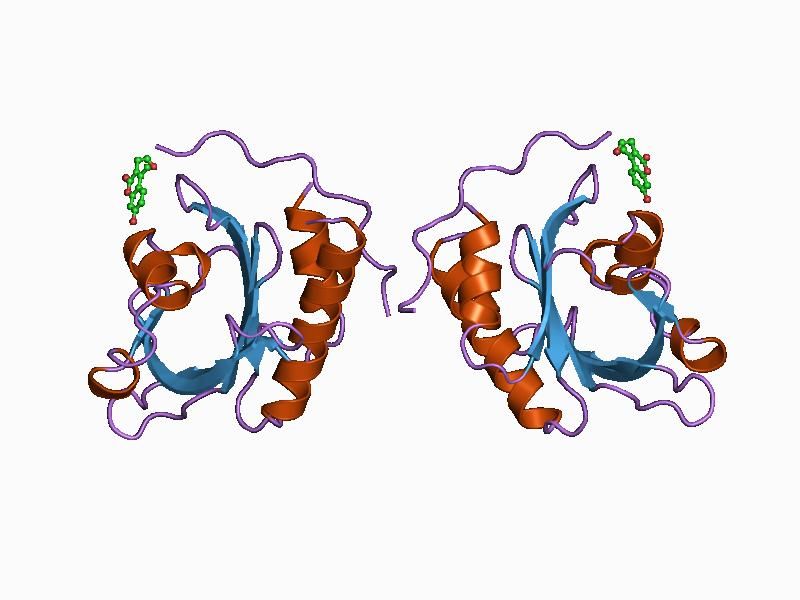 File:PDB 1cjf EBI.jpg