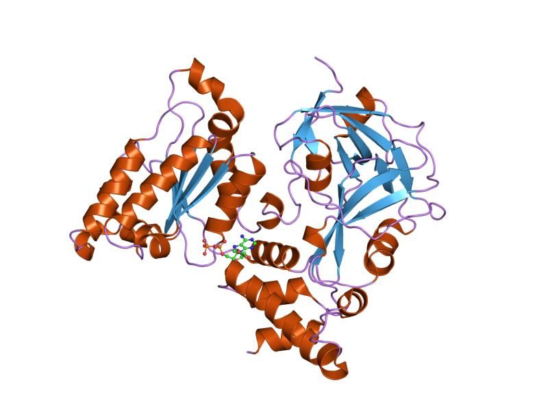 File:PDB 1e32 EBI.jpg