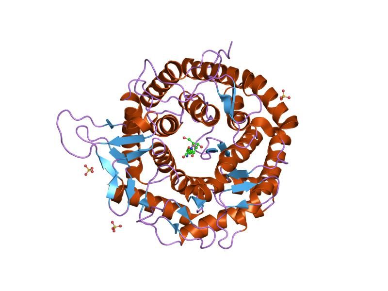 File:PDB 1fo3 EBI.jpg