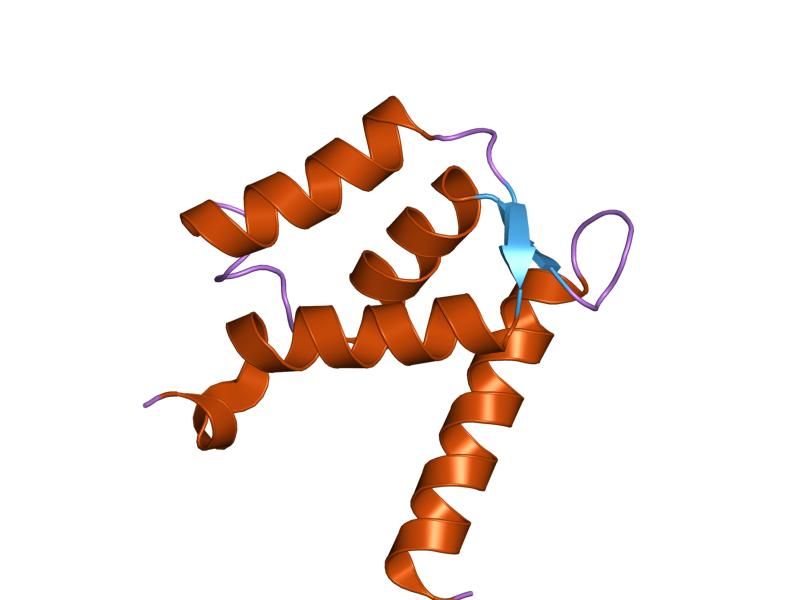 File:PDB 1k9p EBI.jpg