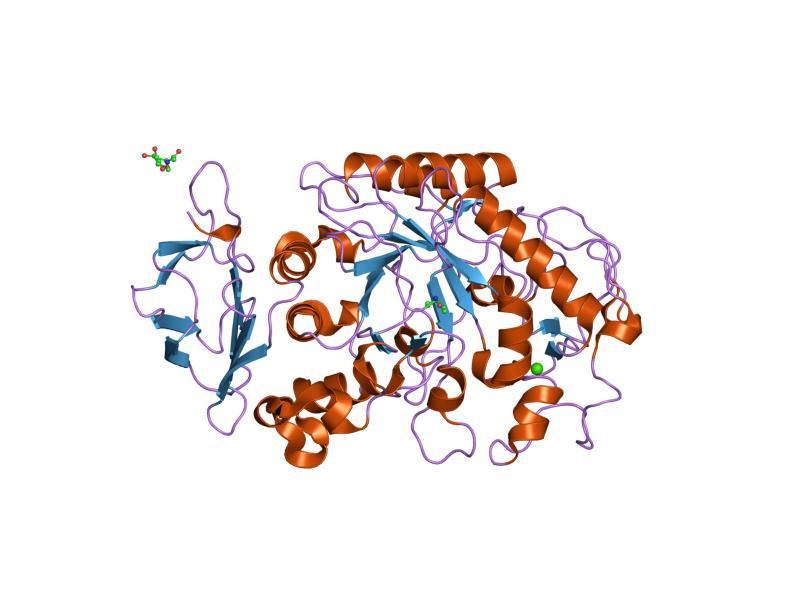 File:PDB 1kgx EBI.jpg