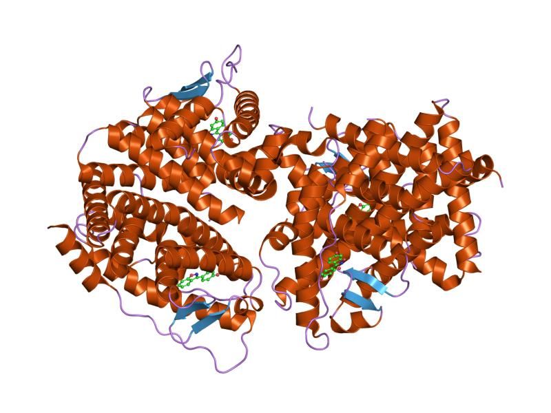 File:PDB 1u3q EBI.jpg