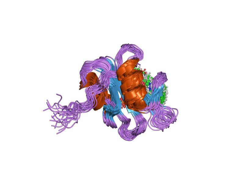 File:PDB 1x0n EBI.jpg