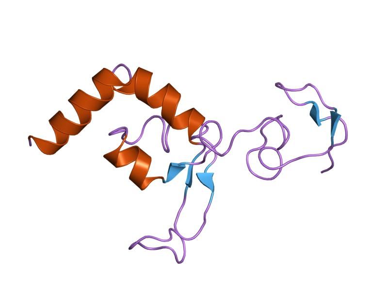 File:PDB 1xpa EBI.jpg