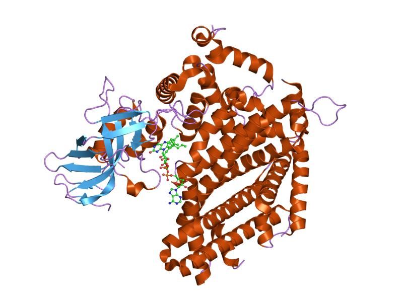 File:PDB 2ddh EBI.jpg