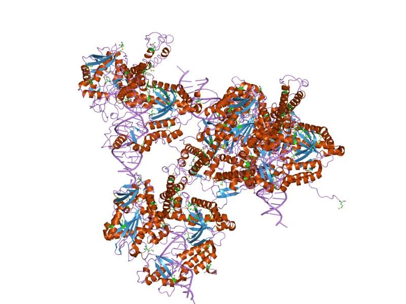 File:PDB 2dy4 EBI.jpg