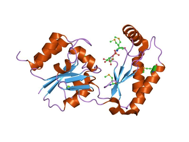 File:PDB 2fue EBI.jpg