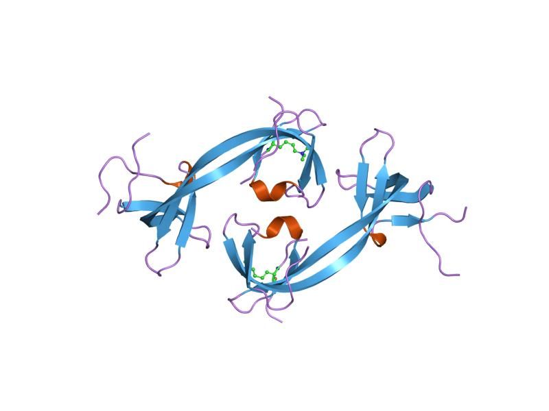 File:PDB 2gfa EBI.jpg