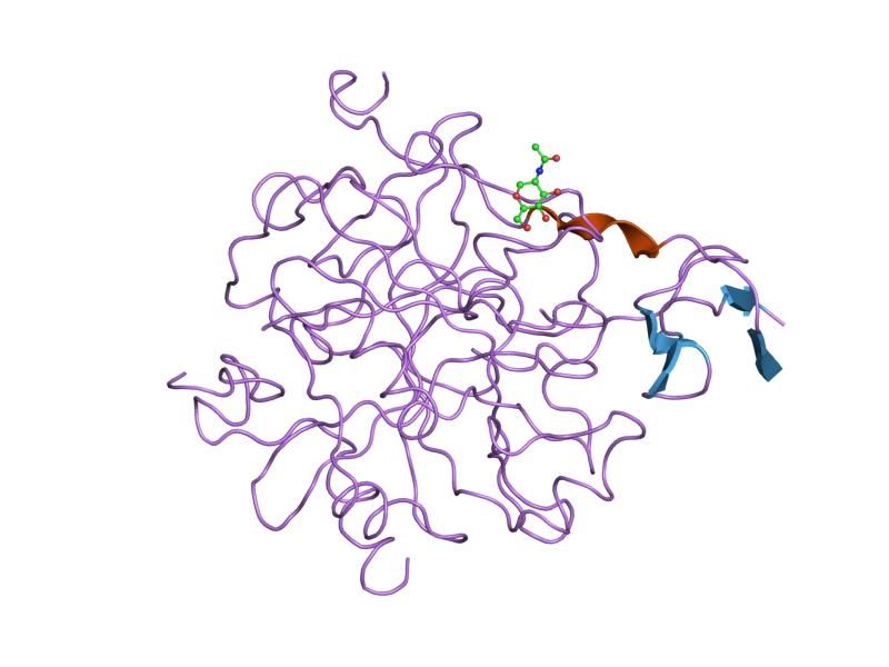 File:PDB 4htc EBI.jpg