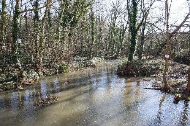 File:River Greet - geograph.org.uk - 335116.jpg