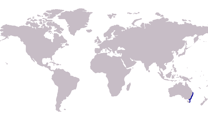 File:S. flindersi distribution map.png