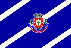 File:Dom Viçosomgbandeira.png