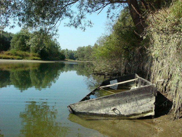 File:Drave at Vízvár, Hungary.jpg