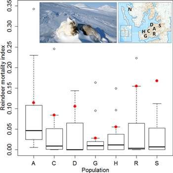 File:Hansen 2014 reindeer mortality.jpg