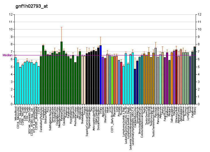 File:PBB GE CIT gnf1h02793 at fs.png