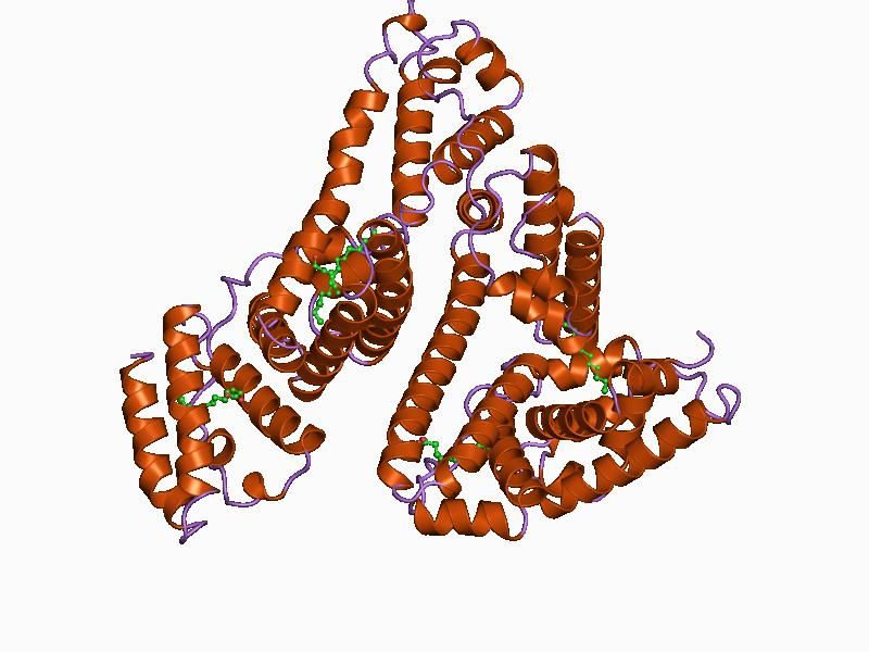 File:PDB 1bj5 EBI.jpg