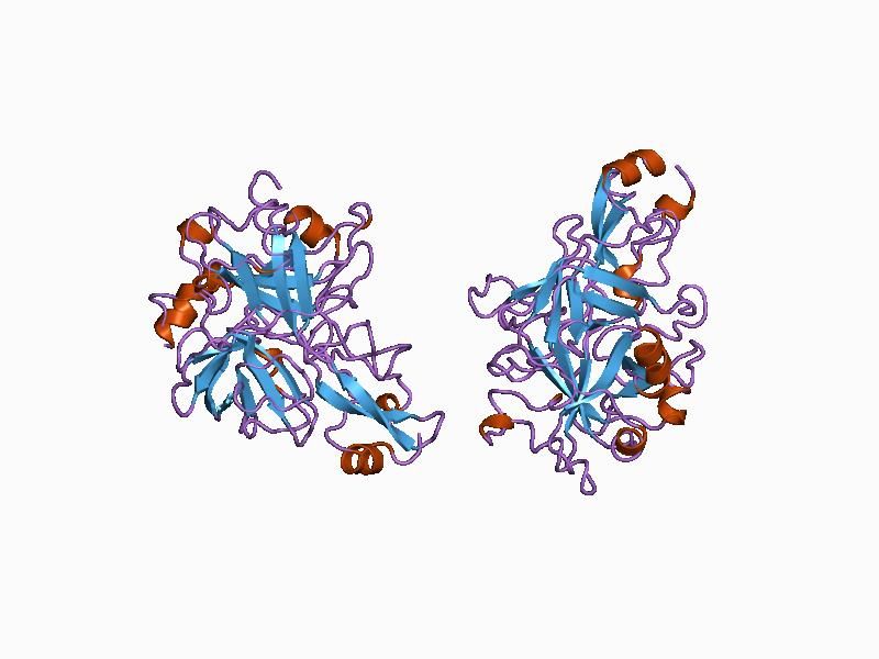 File:PDB 1bth EBI.jpg