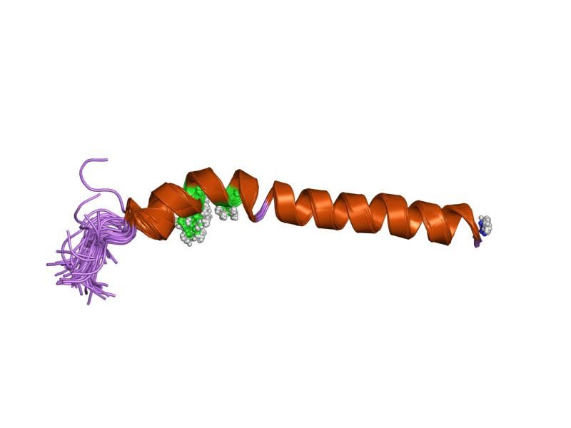 File:PDB 1goe EBI.jpg