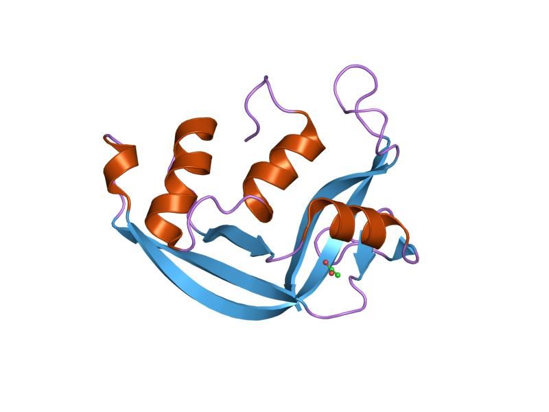 File:PDB 1gqv EBI.jpg