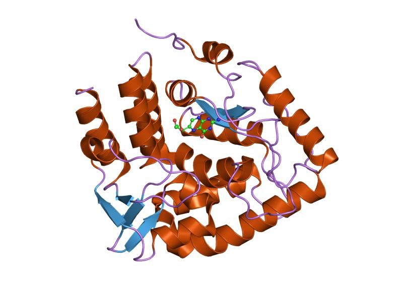 File:PDB 1mlw EBI.jpg