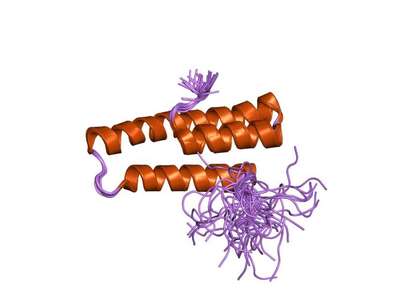 File:PDB 1ov2 EBI.jpg