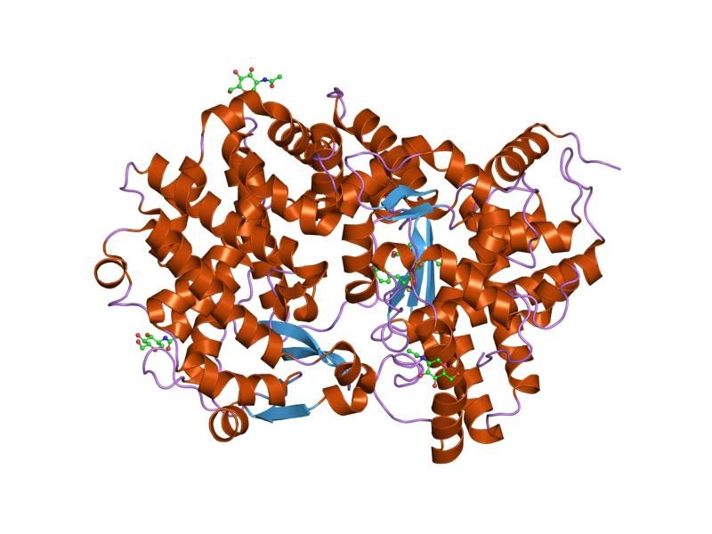 File:PDB 1r1j EBI.jpg