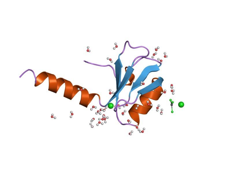 File:PDB 1tif EBI.jpg