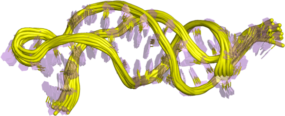 File:PDB 1ymo EBI.png