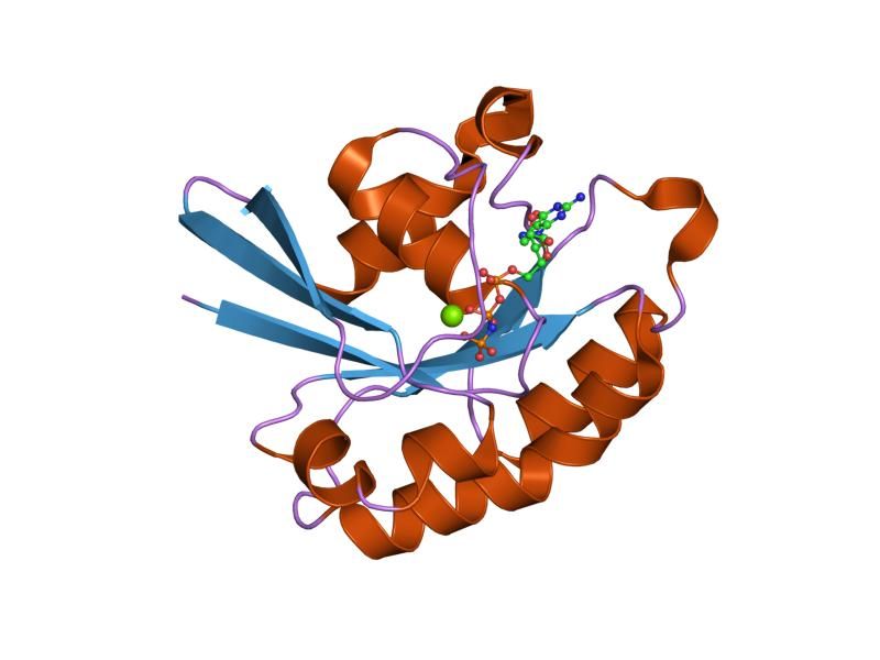 File:PDB 1z06 EBI.jpg