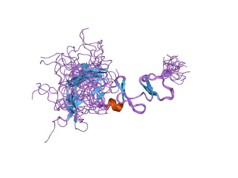 File:PDB 2cup EBI.jpg