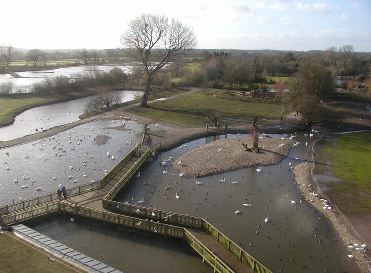 File:Slimbridge.view2.arp.750pix.jpg