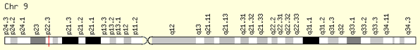 File:TTC39B Gene Location on Chromosome 9.png