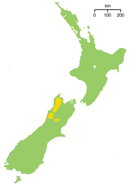 File:418px-NZ-kiwimapApteryx haastii.png