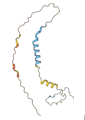 File:AlphaFold figure of C11ORF97..png