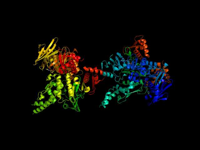 File:Cohesin.png